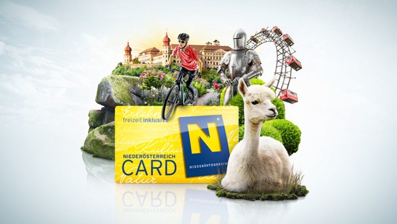 Read more about the article Kostenlose Exklusiv-Führung für NÖ-CARD-Besitzer:innen